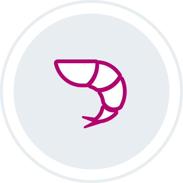 Shrimp icon