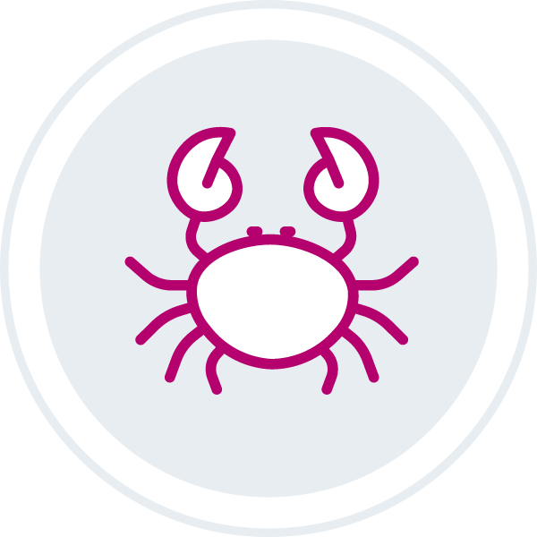 Crab Meat icon