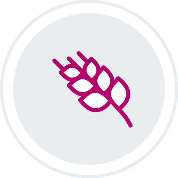 Dietary Alternatives icon