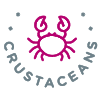 Crustacean Shellfish (e.g., crab, lobster, shrimp)