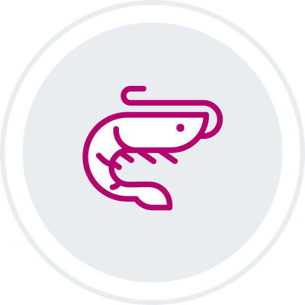 Shrimp icon