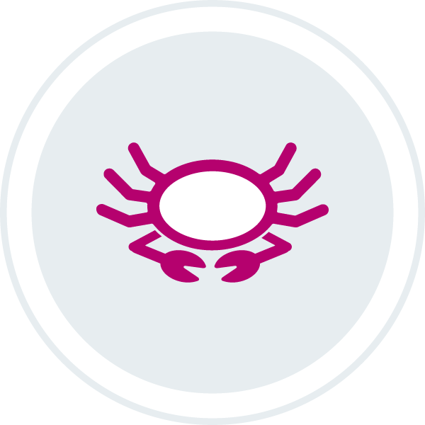 Soft Crab icon