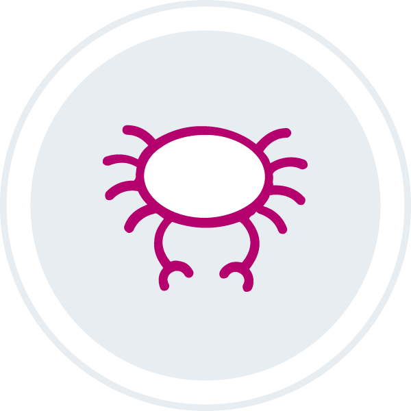 Soft Crabs icon
