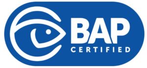 Special Logo